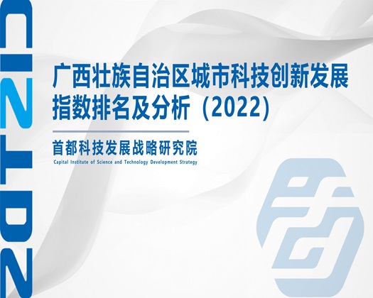 狠狠操大屄【成果发布】广西壮族自治区城市科技创新发展指数排名及分析（2022）